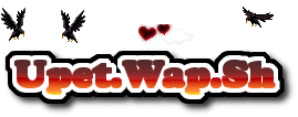 New